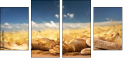 52793015