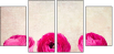 52805750