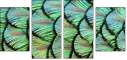53512479