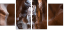 53751853