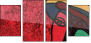 53800770