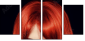 53895849