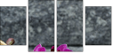 54405316