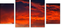 54554863