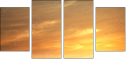 54974402