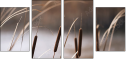 55661015