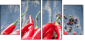 55751143