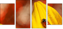 55820987