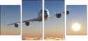 56401870