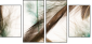 56562123