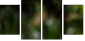 56795972