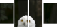 57060206