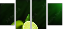 57479075
