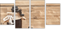 57608269