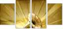 57686954