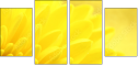 57915870