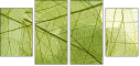 58647115