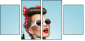 58844946