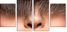 59175977