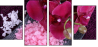 59389806