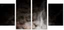 59781702