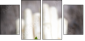 59831129