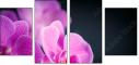 59923716