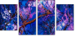 60310652