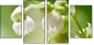 60390048
