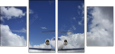 60525051