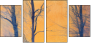 61864050