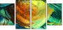62333985