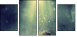 62549974