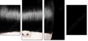 62623049