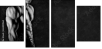 63490164