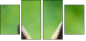 63805438