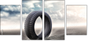 65476081