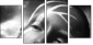65561483