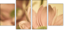 65771321