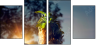 65958619