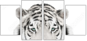 67172414