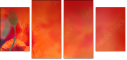 67251094