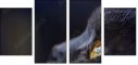 67261784