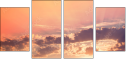 67822236