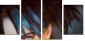 68796716