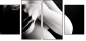 68806614