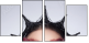 68880245