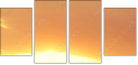 69150407