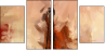 69563598