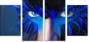 69641172